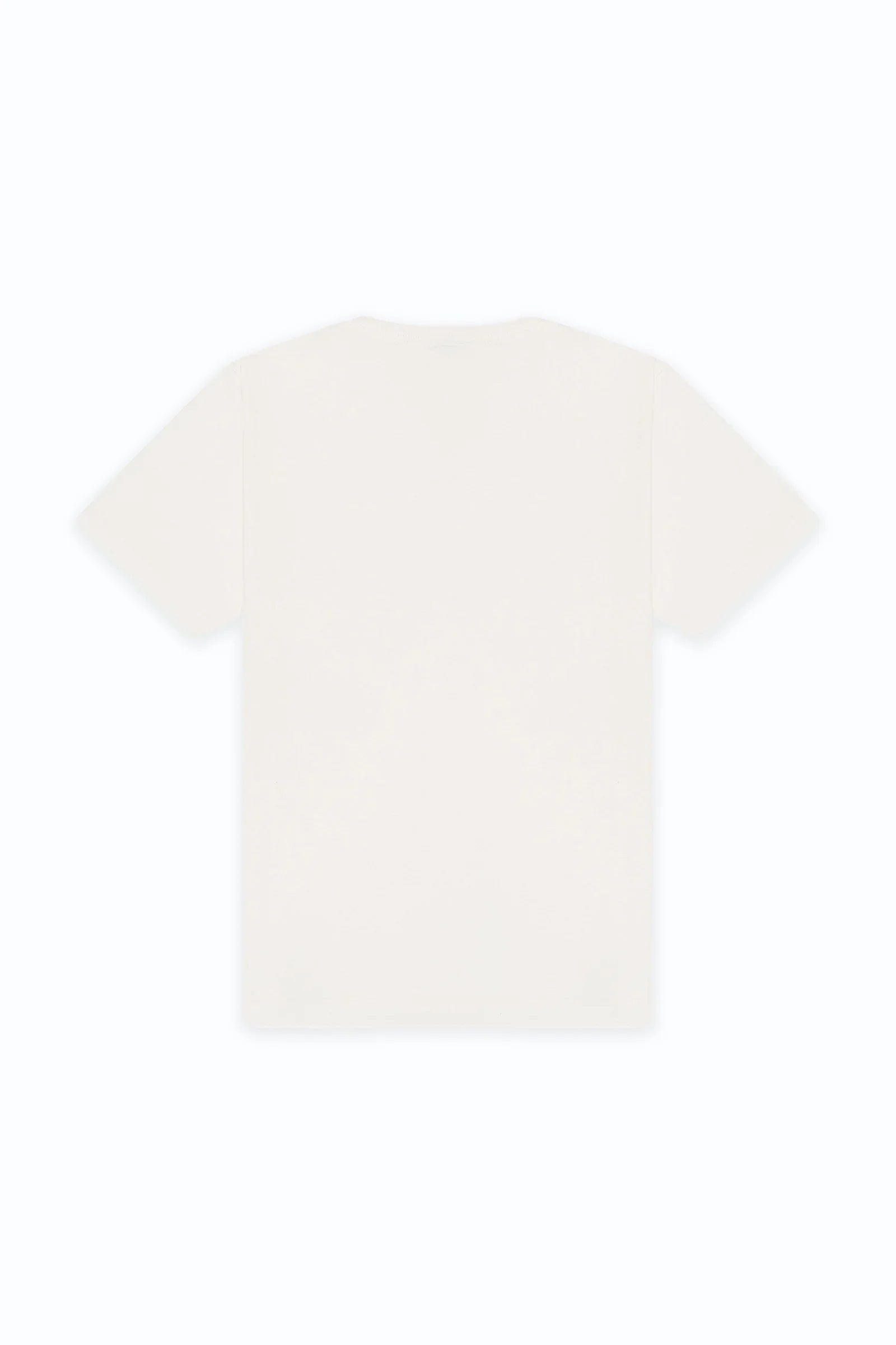 LOVE IS THE ANSWER HEAVYWEIGHT TEE - EGGSHELL